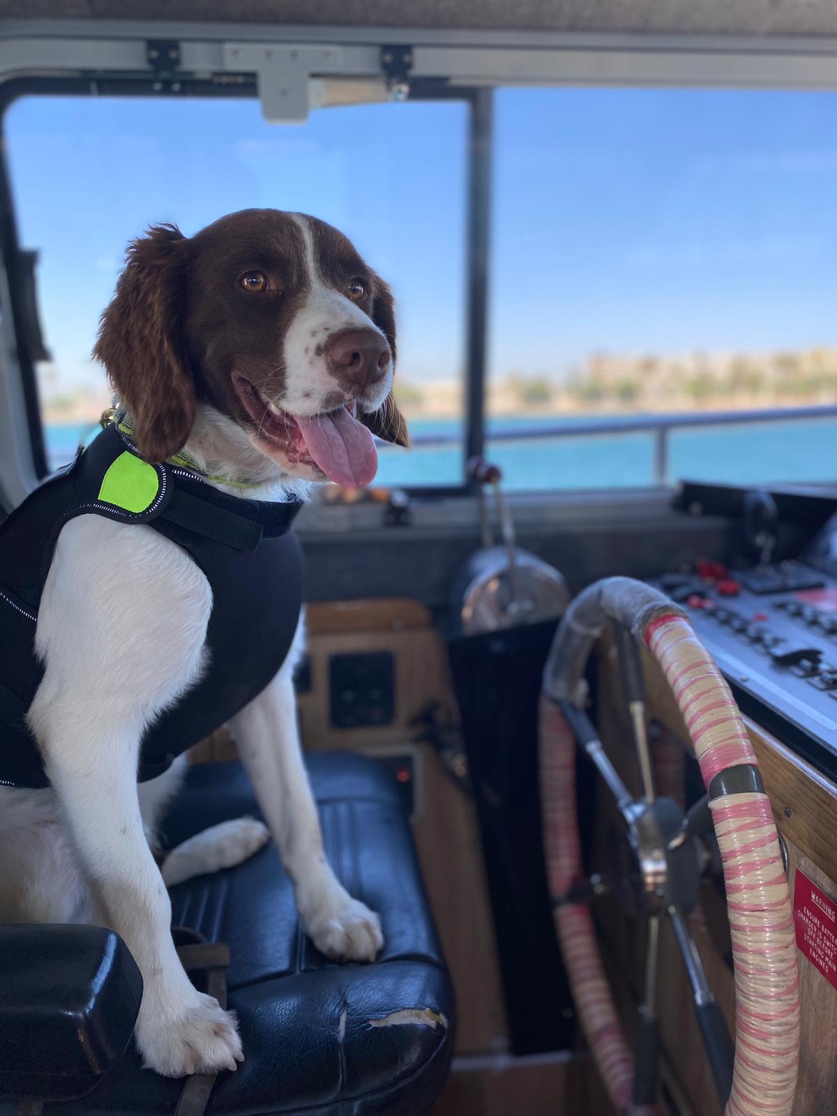 Royal Gibraltar Police News